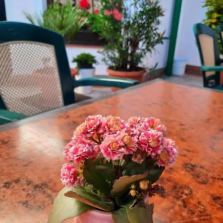 Apartman Libochovice דירה